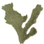 Weco South Pacific Coral Elkhorn Ornament Grey SM - Aquarium