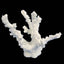 Weco South Pacific Coral Octopus Ornament White SM - Aquarium