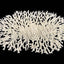 Weco South Pacific Coral Oval Tabletop Ornament White LG - Aquarium