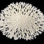 Weco South Pacific Coral Round Tabletop Ornament White LG - Aquarium