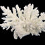 Weco South Pacific Coral Spiny Acorapora Ornament White SM - Aquarium