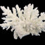 Weco South Pacific Coral Spiny Acorapora Ornament White SM