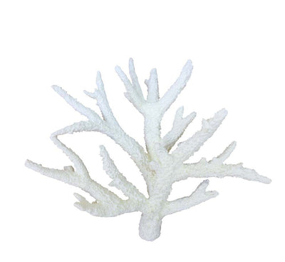 Weco South Pacific Coral Staghorn Ornament White MD