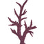 Weco South Pacific Coral Staghorn Tall Ornament Purple MD