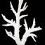 Weco South Pacific Coral Staghorn Tall Ornament White MD