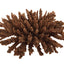 Weco South Pacific Coral Tabletop Ornament Brown SM