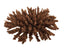 Weco South Pacific Coral Tabletop Ornament Brown SM - Aquarium