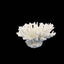 Weco South Pacific Coral Tabletop Ornament White XXS