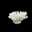 Weco South Pacific Coral Tabletop Ornament White XXS - Aquarium
