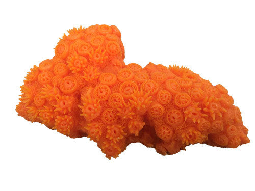 Weco South Pacific Coral Tubastrea Ornament Orange MD - Aquarium