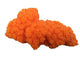 Weco South Pacific Coral Tubastrea Ornament Orange MD - Aquarium