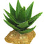 Weco Wecorama Badlands Aloe Vera Terrarium Ornament Brown, Green 5 in
