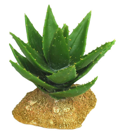 Weco Wecorama Badlands Aloe Vera Terrarium Ornament Brown, Green 5 in