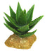 Weco Wecorama Badlands Aloe Vera Terrarium Ornament Brown Green 5 in - Reptile