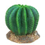 Weco Wecorama Badlands Golden Barrel Cactus Terrarium Ornament Brown, Green 3 in
