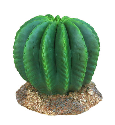 Weco Wecorama Badlands Golden Barrel Cactus Terrarium Ornament Brown, Green 3 in