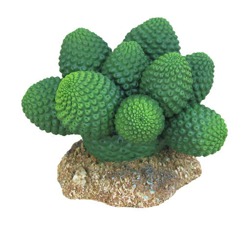 Weco Wecorama Badlands Pointed Sonoran Cactus Terrarium Ornament Brown Green 3 in - Reptile