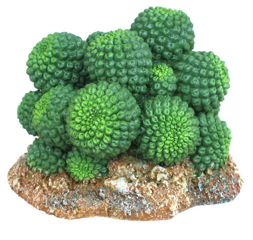 Weco Wecorama Badlands Sonoran Cactus Terrarium Ornament Brown Green 2.92 in - Reptile