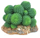Weco Wecorama Badlands Sonoran Cactus Terrarium Ornament Brown Green 2.92 in - Reptile