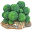 Weco Wecorama Badlands Sonoran Cactus Terrarium Ornament Brown, Green 2.92 in