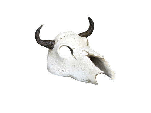 Weco Wecorama Catacombs Longhorn Skull Aquarium Ornament Black White
