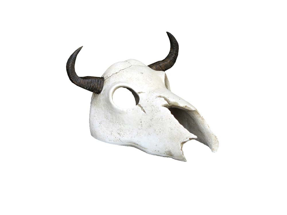 Weco Wecorama Catacombs Longhorn Skull Aquarium Ornament Black, White
