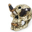 Weco Wecorama Catacombs Pirate Skull Aquarium Ornament Multi - Color