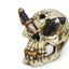 Weco Wecorama Catacombs Pirate Skull Aquarium Ornament Multi-Color