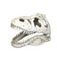 Weco Wecorama Catacombs T - REX Skull Aquarium Ornament White