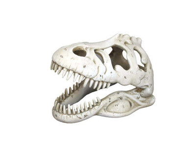 Weco Wecorama Catacombs T - REX Skull Aquarium Ornament White