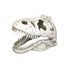 Weco Wecorama Catacombs T-REX Skull Aquarium Ornament White