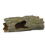 Weco Wecorama Sleepy Hollows Mossy Log Terrarium Ornament with Hollow Brown/Green MD - Reptile
