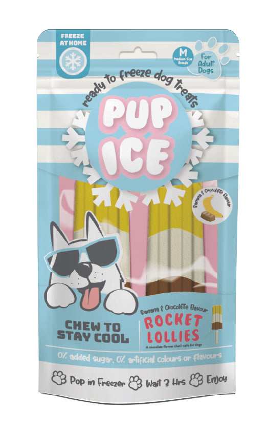 Spot Pup Ice Dog Chew Treat Rocket Lollie Banana & Chocolate 2 pk 077234072448