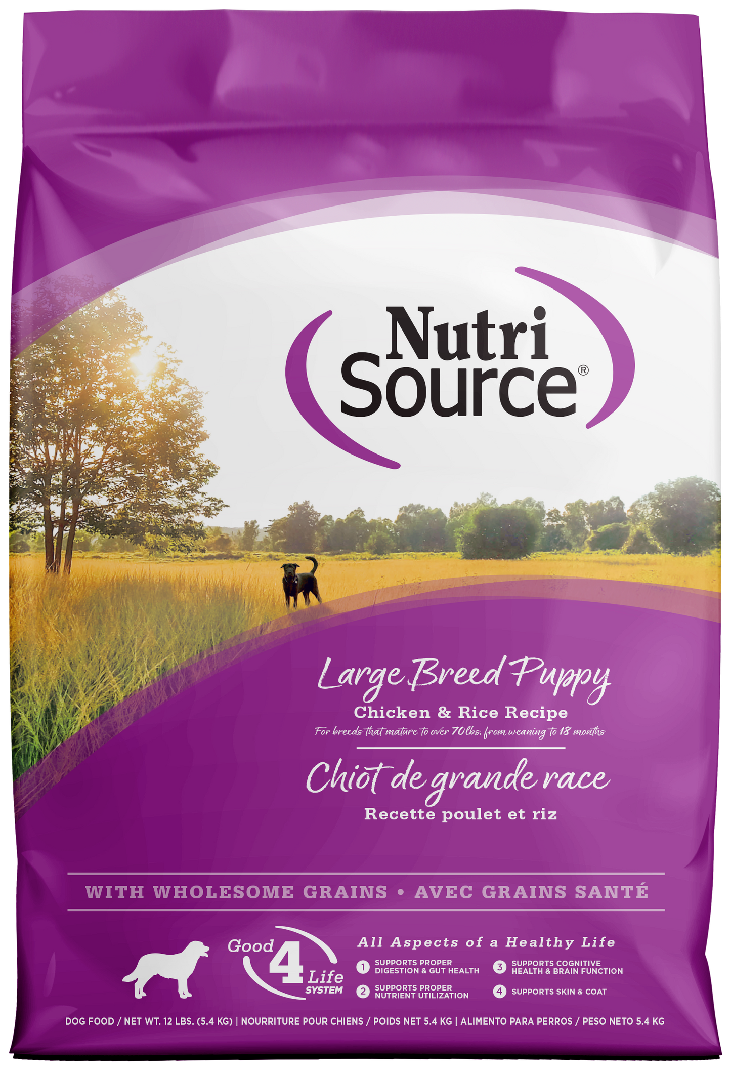 NutriSource Large Breed Puppy Dry Dog Food Chicken & Rice 12 lb 073893264040