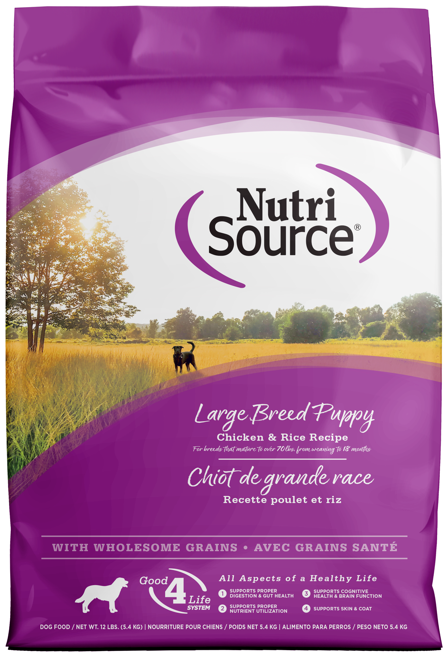 NutriSource Large Breed Puppy Dry Dog Food Chicken & Rice 12 lb 073893264040