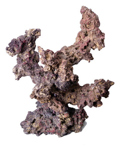 CaribSea LifeRock Reef Tree with Arches 008479003584