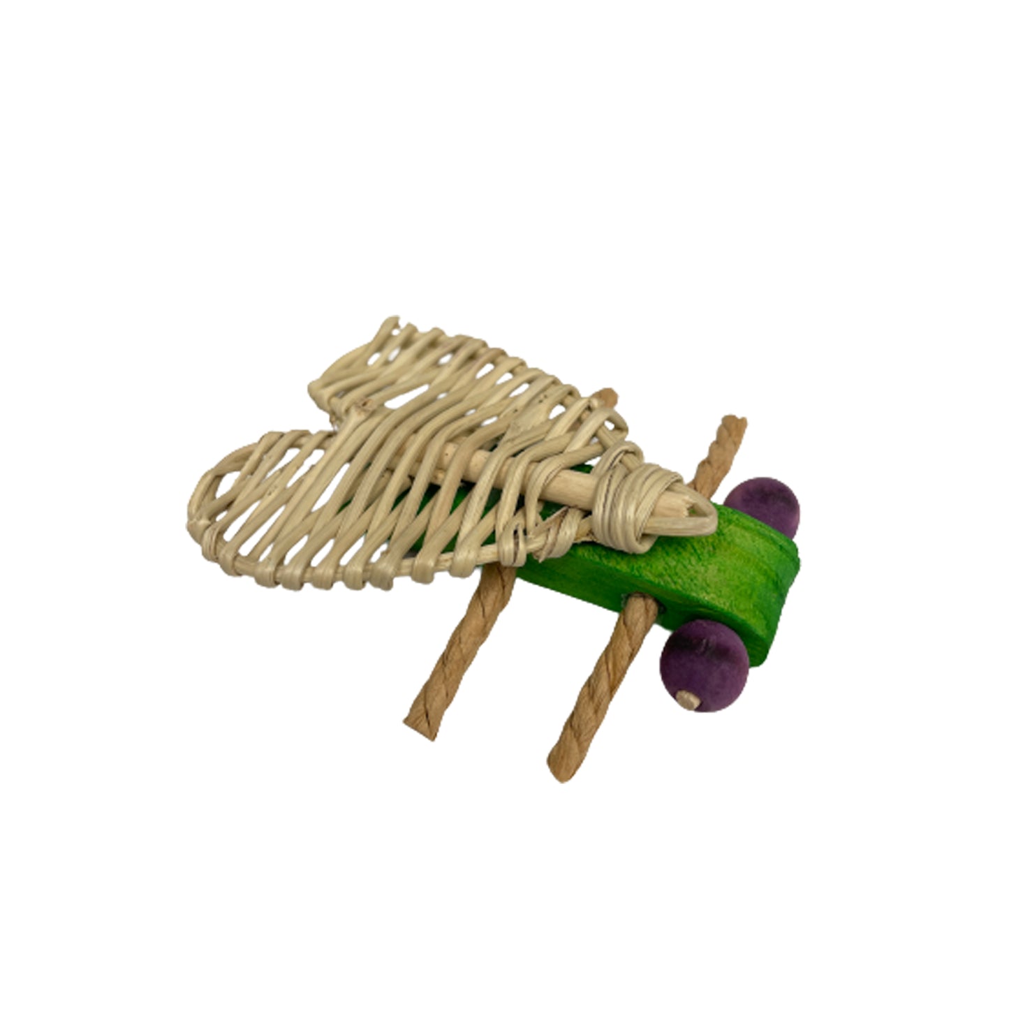 A & E Cages Nibbles Love Bug Small Animal Chew Toy 644472002850