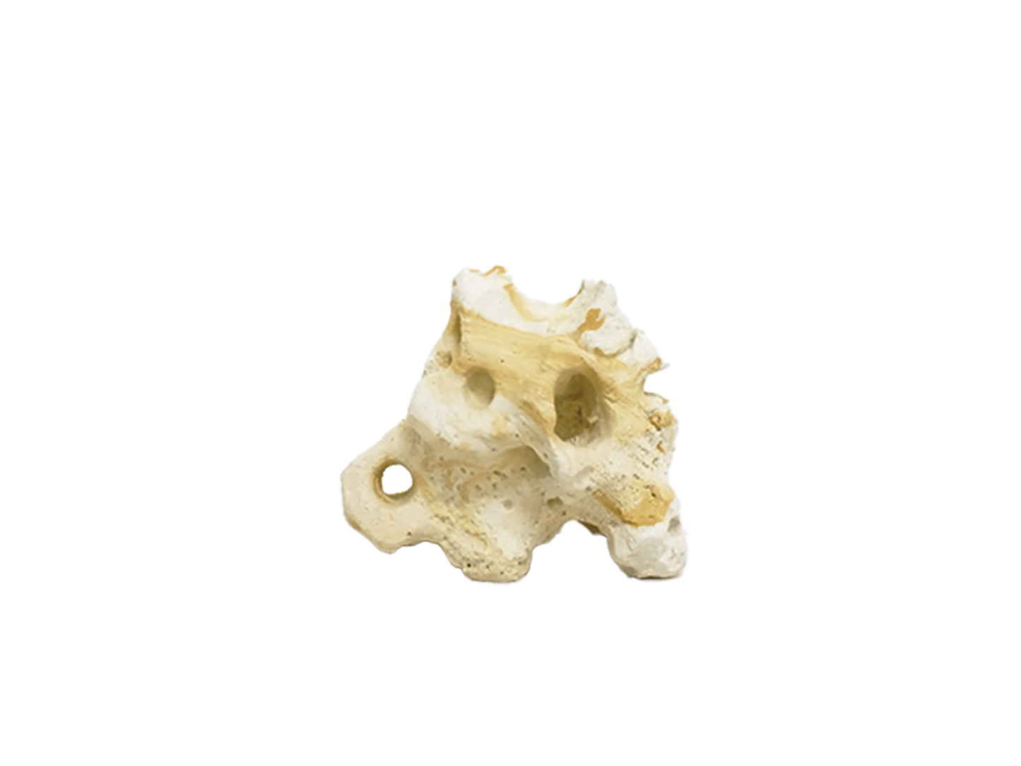 Hikari USA Resin Texas Holey Rock 5.7 In X 3.75 In X 4.50 in 042055963206