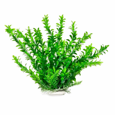 Aquatop Anacharis Aquarium Plant with Weighted Base Green 6 in 819603014327