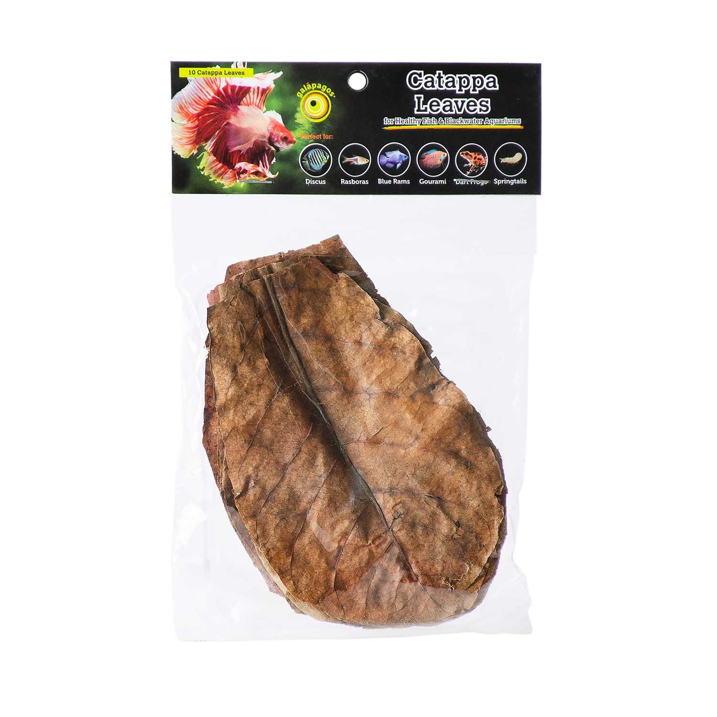 Galapagos Catappa Leaves Natural Natural 10 pk 759834051558