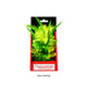 Aquatop Vibrant Passion Plant Yellow 6 in 810074880121