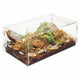 Zilla Micro Habitat Terrariums with Locking Latch Terrestrial Large - Reptile