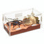 Zilla Micro Habitat Terrariums with Locking Latch Terrestrial Small - Reptile