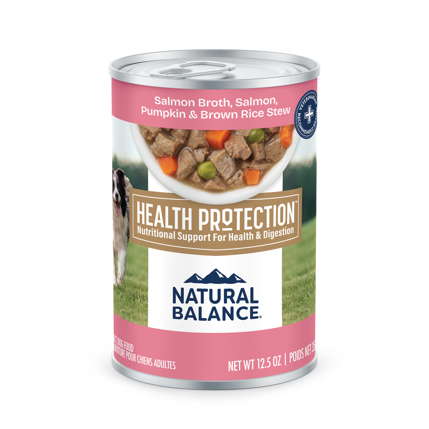 Natural Balance Pet Foods Health Protection Salmon & Pumpkin Stew Can Dog Food Salmon & Pumpkin 6ea/12.5 oz 723633007221