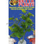 Zoo Med Betta Plant Philo Green - Aquarium