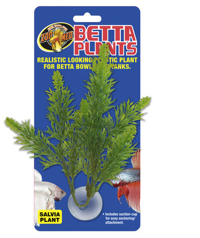 Zoo Med Betta Plant Salvia Green - Aquarium