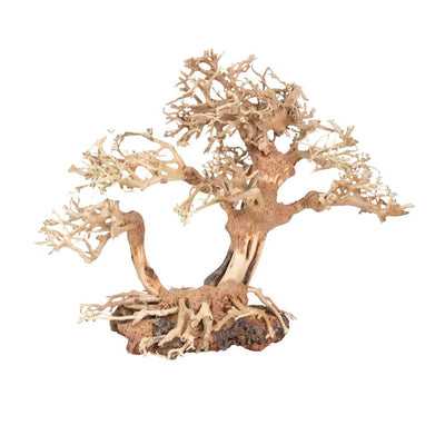 Zoo Med Dragon Bonsai Tree Aquatic Ornament MD