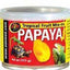 Zoo Med Fruit Mix - Ins Papaya Reptile Wet Food 3.4 oz