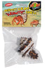 Zoo Med Hermit Crab Growth Shell Assorted LG 1pk - Reptile