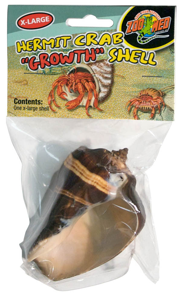 Zoo Med Hermit Crab Growth Shell Assorted XL 1pk